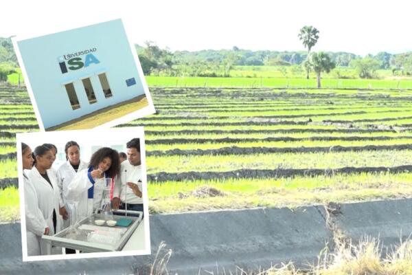 Jóvenes universitarios de ISA Bohechio, estudian agricultura.