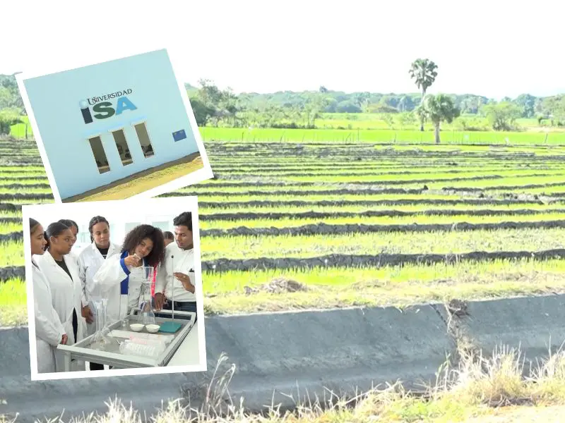 Aferrados a la tierra: jóvenes son formados para erradicar pobreza del sur