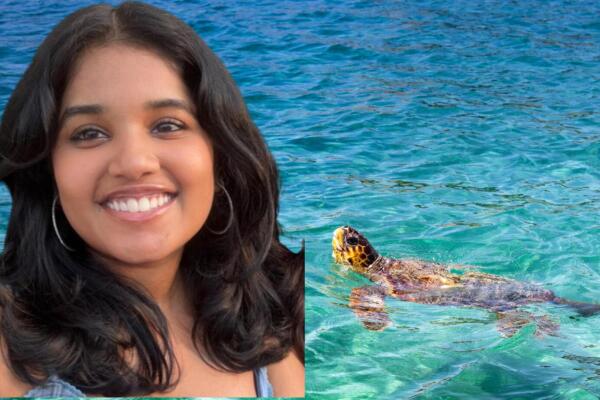 Confunden tortuga en el mar con el cuerpo de turista desaparecida. (foto, fuente externa)