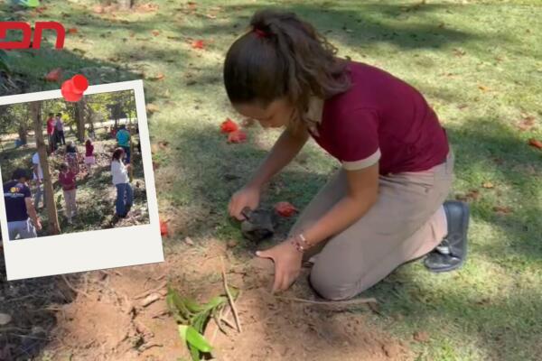 Jarabacoa fortalece su compromiso ambiental con jornada de reforestación.