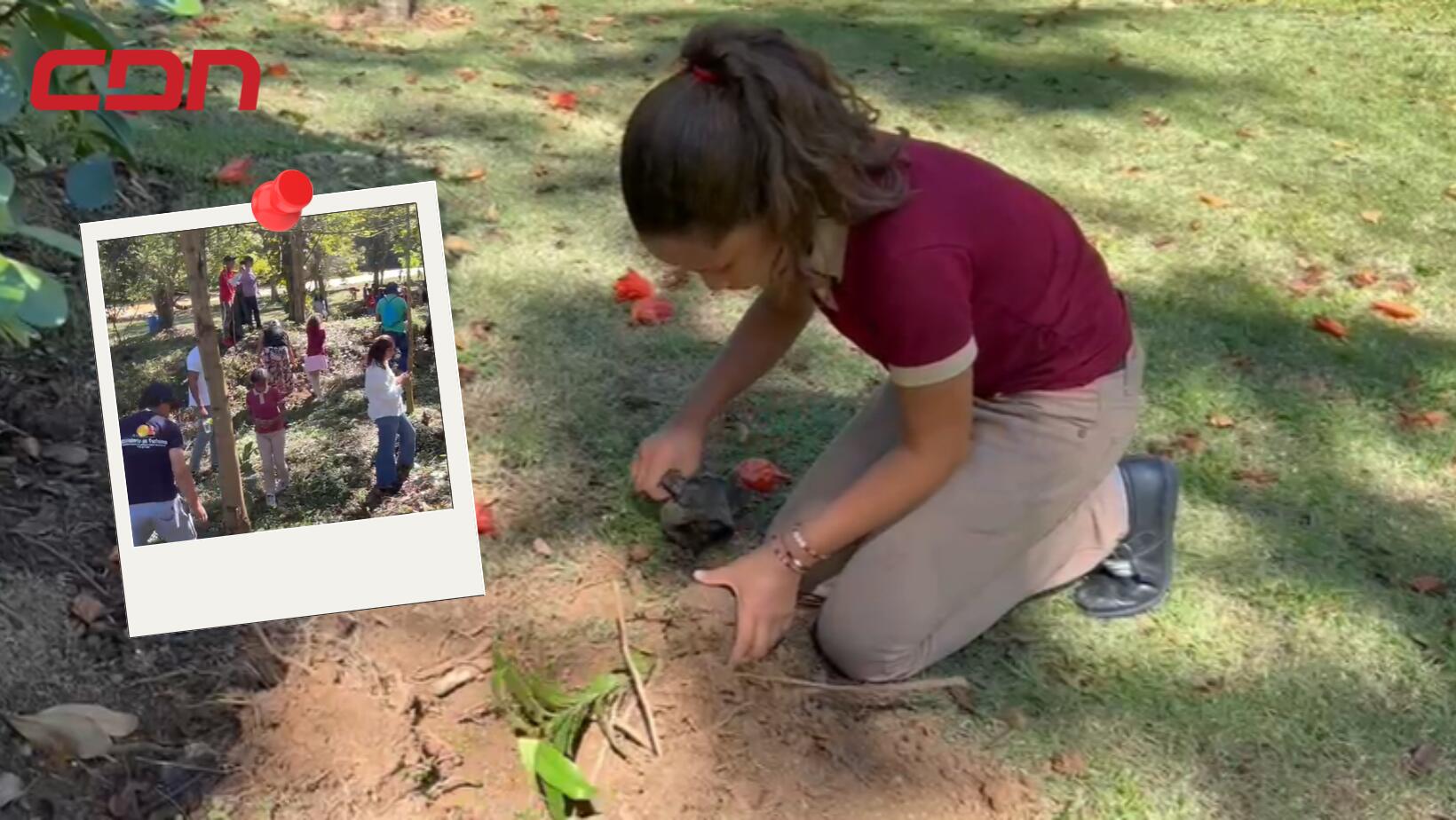 Siembran 800 árboles en Jarabacoa para proteger ríos y promover turismo sostenible