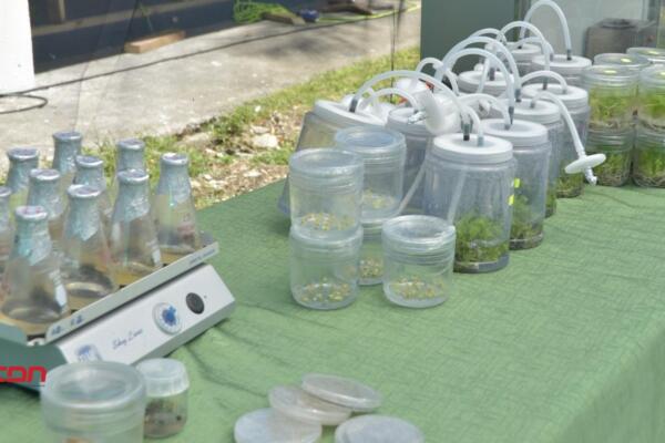 Agricultura exhibe avances tecnológicos en la Feria Agropecuaria 2025. (foto, fuente externa)