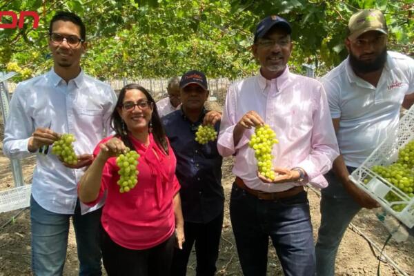 El rector de la universidad, Alberto Ramírez, resaltó la importancia de este proyecto para la transformación del modelo agropecuario de la región.