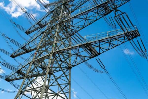 Aseguró que esto permite que las empresas distribuidoras de electricidad mantengan estable el servicio. Foto: Fuente externa 