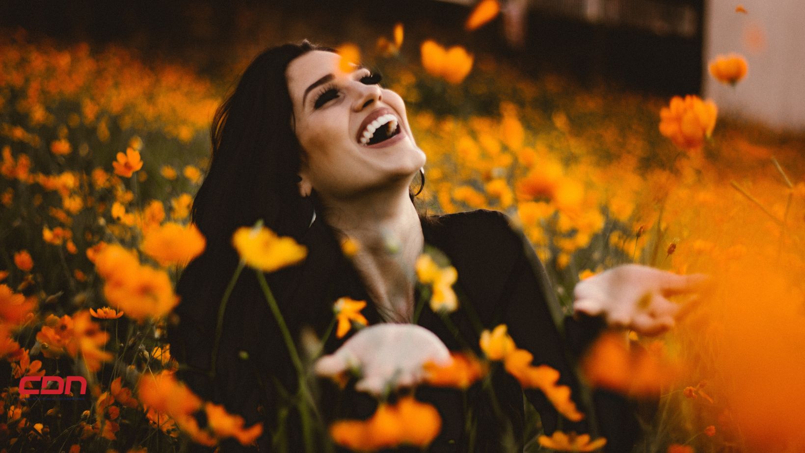 Felicidad