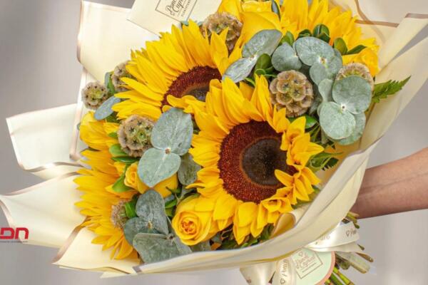 Con la llegada de la primavera, la costumbre de regalar flores amarillas se ha convertido en una tendencia. (foto, fuente externa)