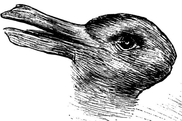 ¿Pato o conejo? Lo que veas dirá mucho sobre ti