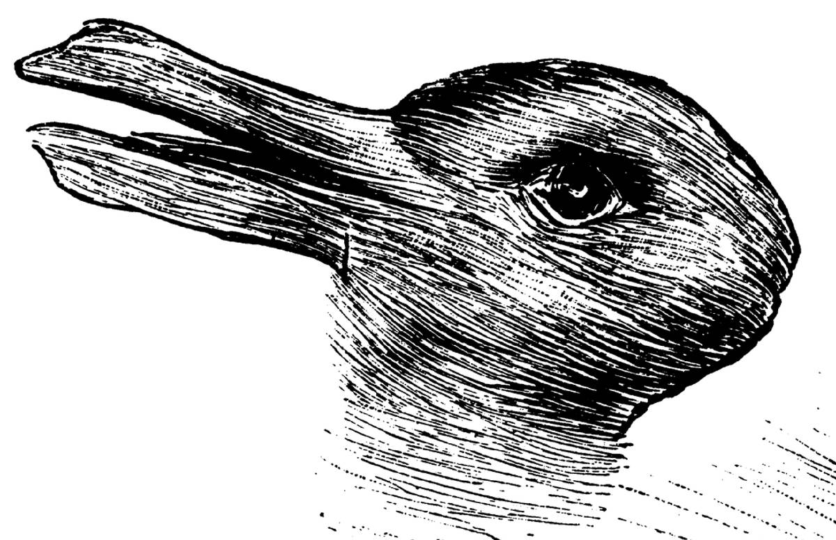 ¿Pato o conejo? Lo que veas dirá mucho sobre ti