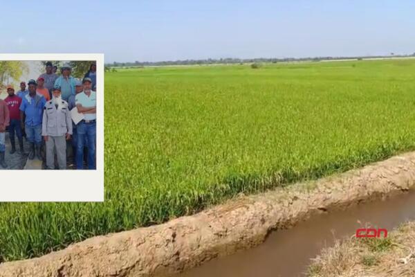 Cuentan con agua suficiente para mojar sus cosechas. Foto: Fuente externa
