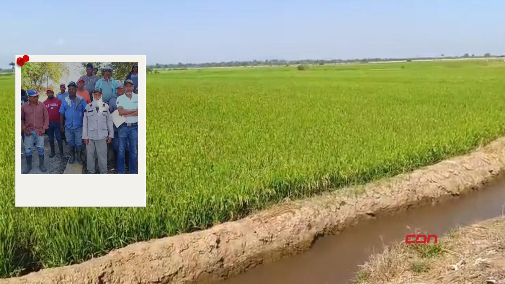 Productores