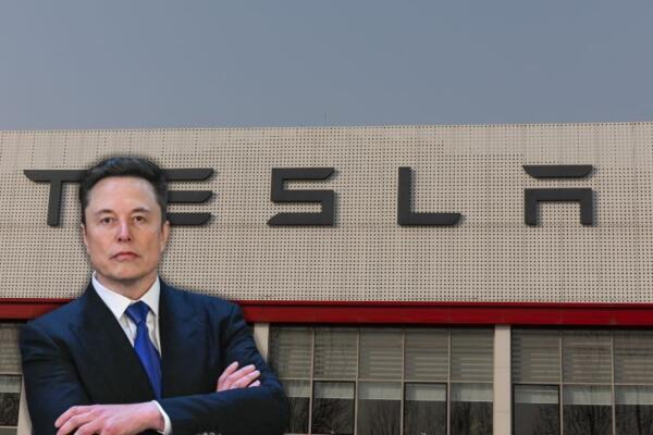 Consejero superior del presidente de los Estados Unidos, Elon Musk.