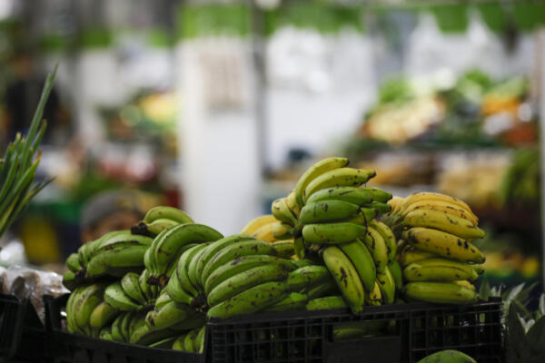 Los aranceles de EE.UU. amenazan las exportaciones agrícolas de Latinoamérica