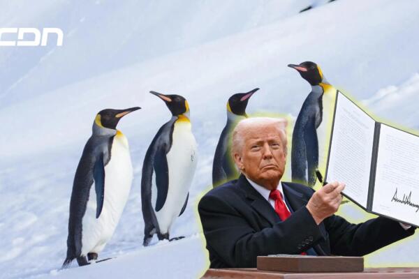 Los pingüinos, mascotas de los opositores a la guerra comercial del presidente de los Estados Unidos, Donald Trump. Foto: CDN Digital