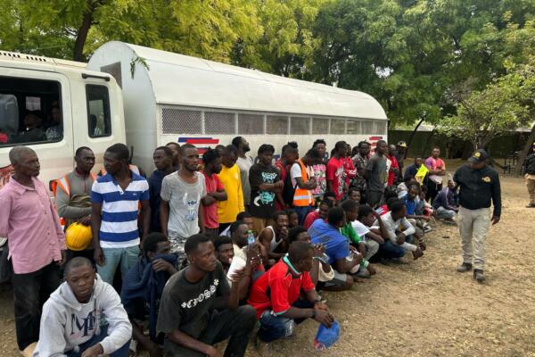 Detienen 98 nacionales haitianos, que no portaban documentación legal correspondiente