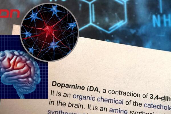 La dopamina es una aliada poderosa de nuestra salud mental, emocional y física. 