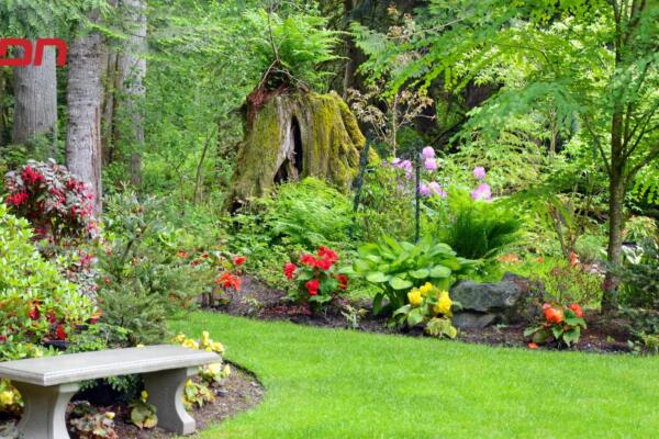 Cada vez más personas están redescubriendo el valor de los jardines como refugios naturales.