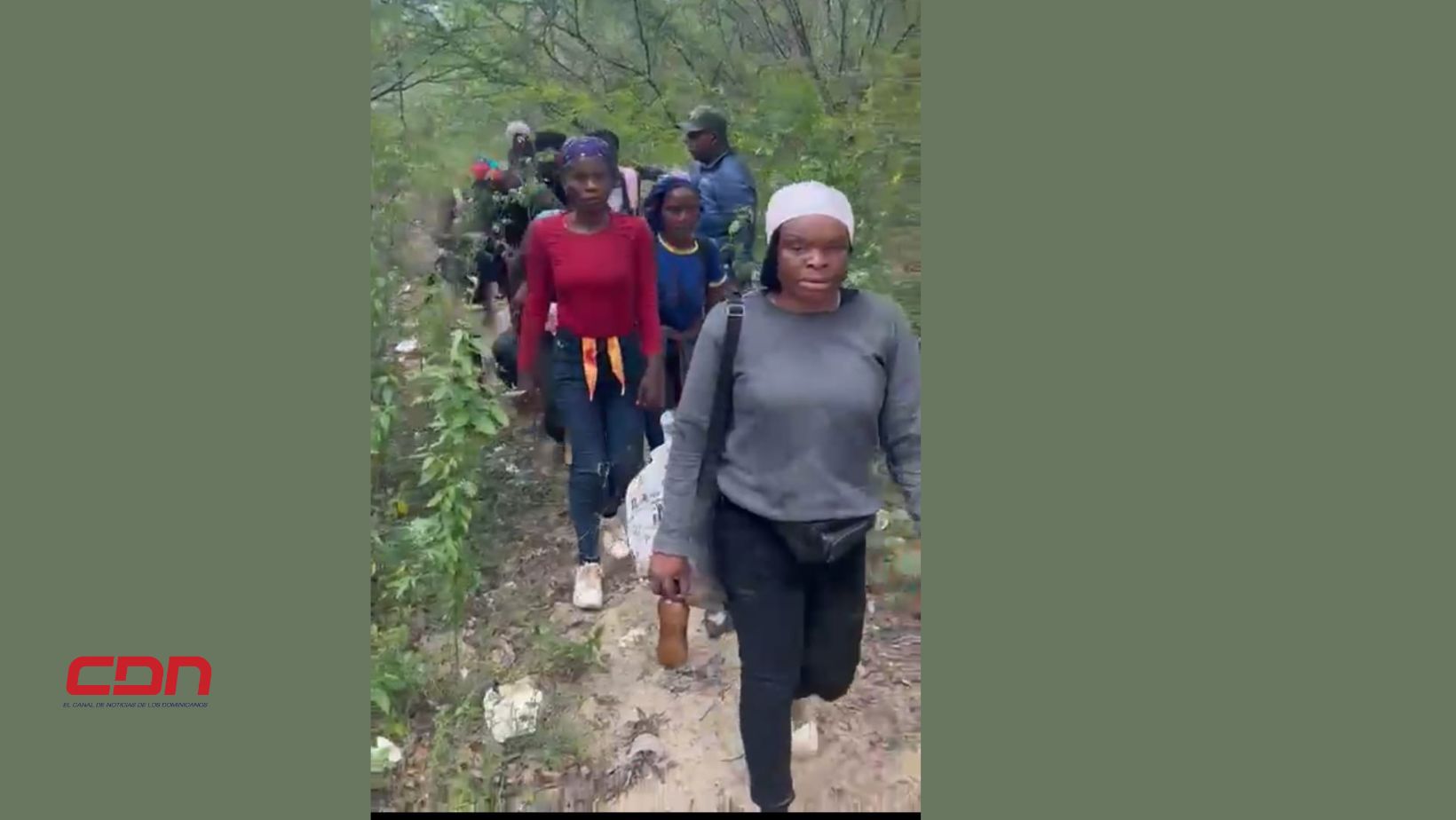 Haitianos