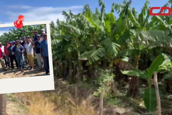 Los parceleros acusaron al administrador del proyecto, Julio César Estévez, de hostigarlos constantemente.