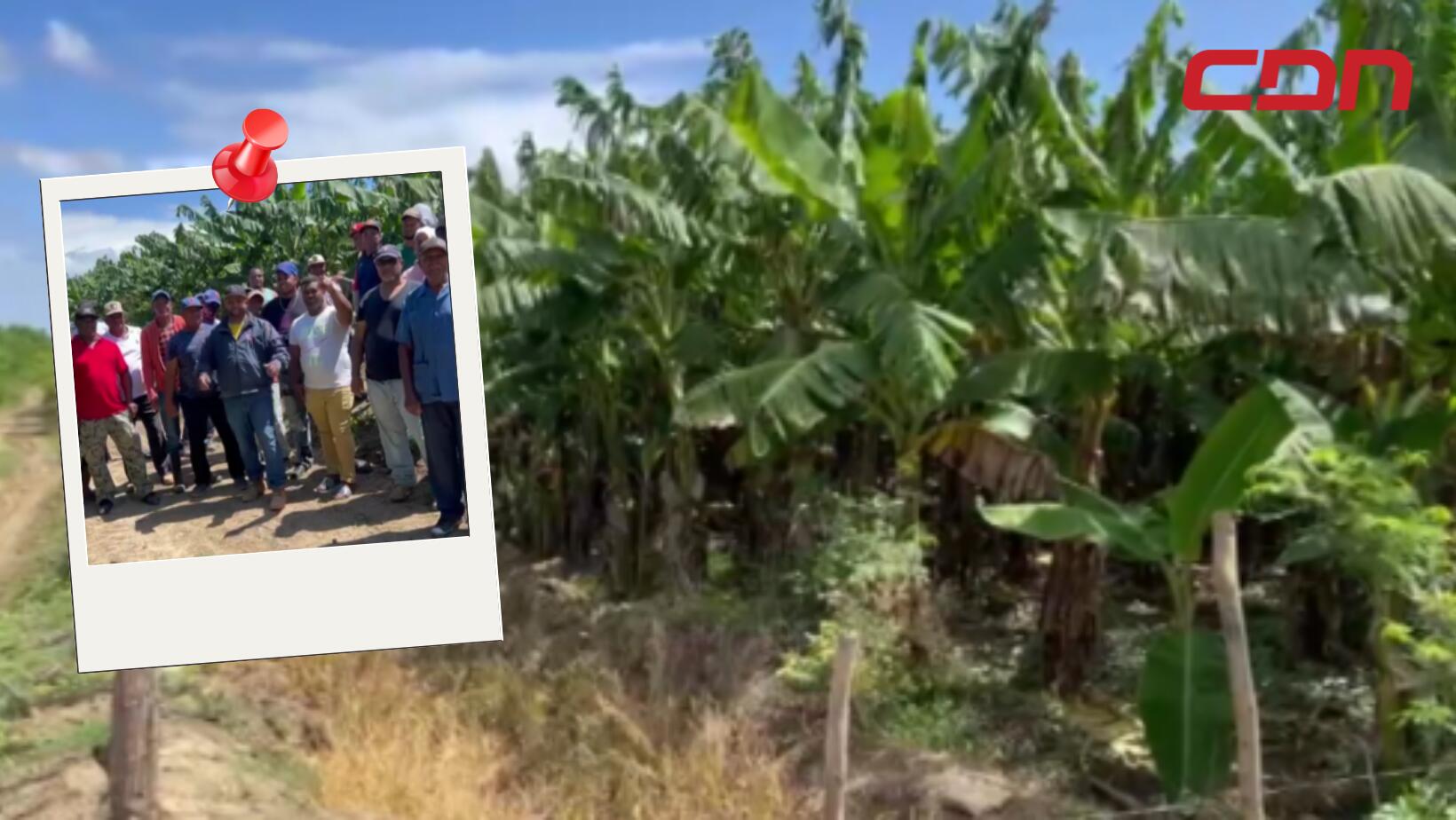 Parceleros en Montecristi piden prórroga