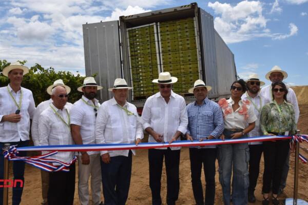 RD inicia exportación de primeros tres contenedores de uvas de mesa hacia EE. UU. (foto, fuente externa)