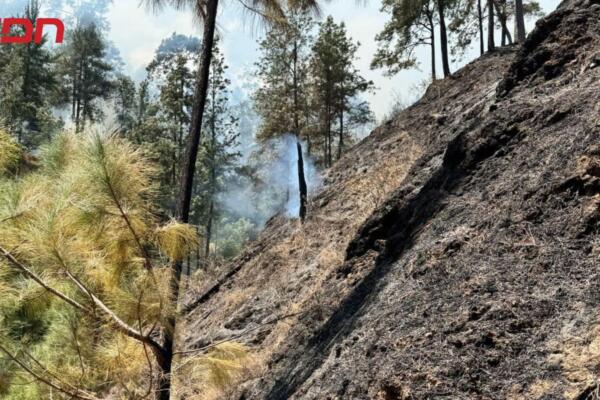 Sofocan incendio forestal registrado en comunidad de la provincia San José de Ocoa. 