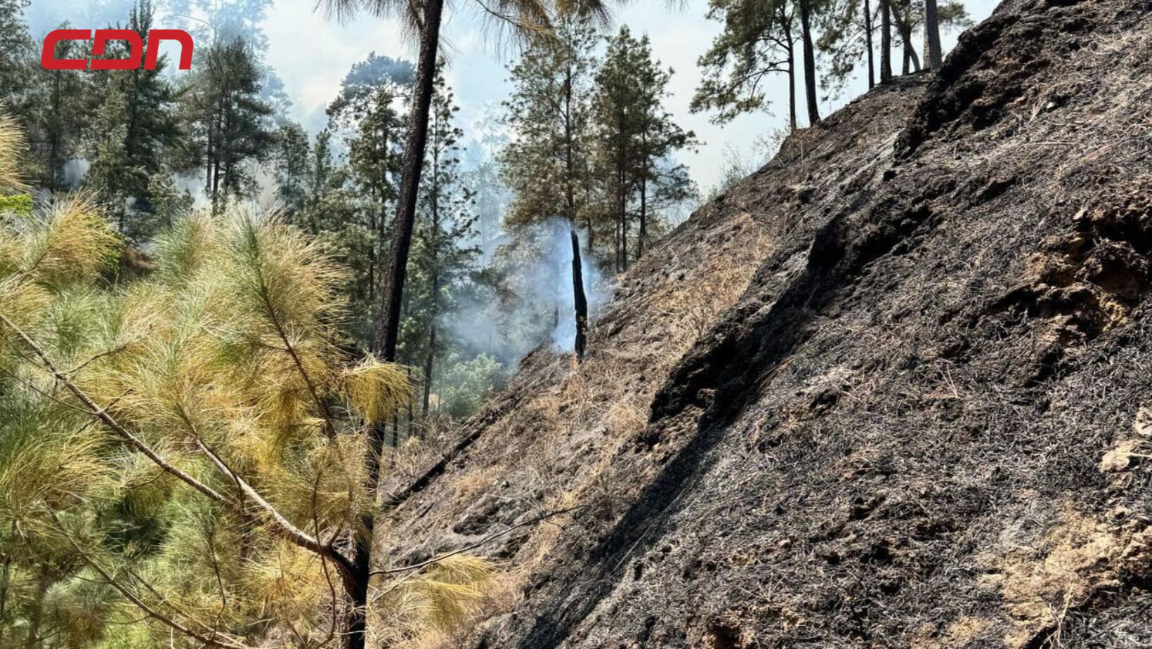 incendio forestales en San José de Ocoa