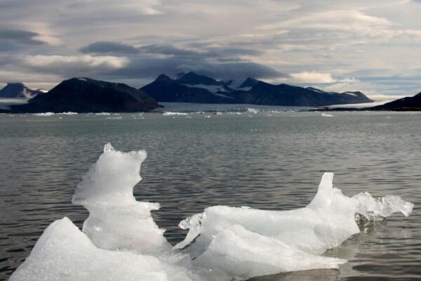 Restos de un iceberg glaciar en Svalbard, Noruega. Crédito: Fabien Maussio