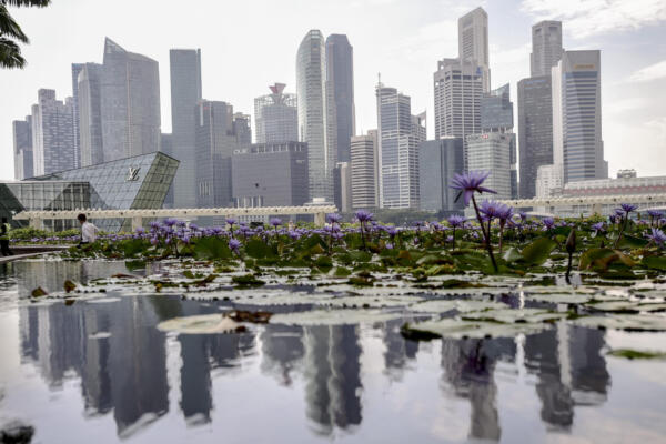 Reflejo del horizonte del Distrito Central de Negocios en un estanque de lotos en Marina Bay Sands, Singapur, en una fotografía de archivo. EPA/WALLACE WOON EPA/WALLACE WOON