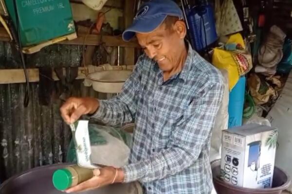 Leonides Mateo sostiene un envase repleto del orégano que cultiva y procesa con esmero. Foto: CDN Digital