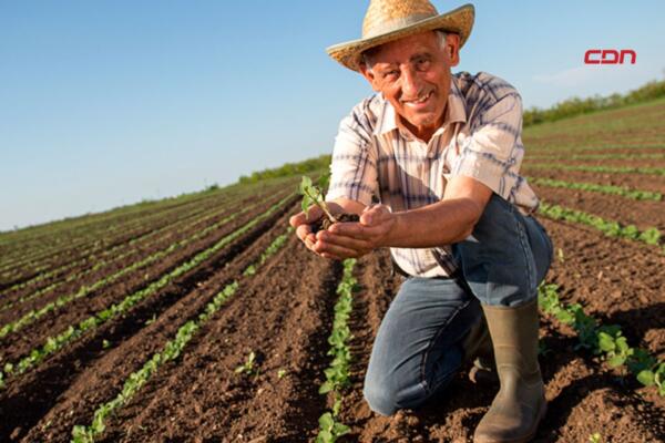 Agricultor cultivando 
 la tierra. Foto, fuente externa.