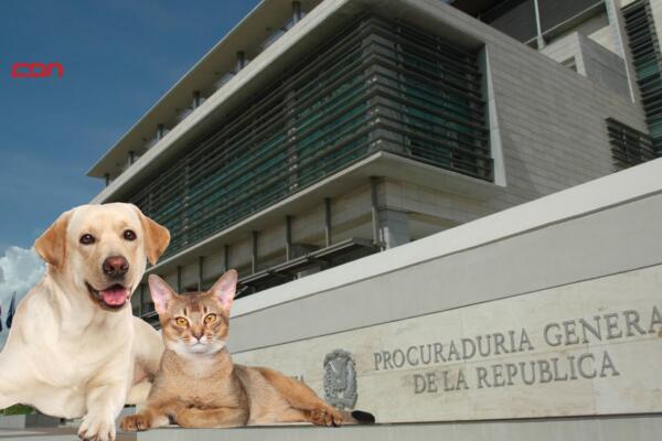 La Procuraduría reabre unidad de protección animal para combatir el maltrato.