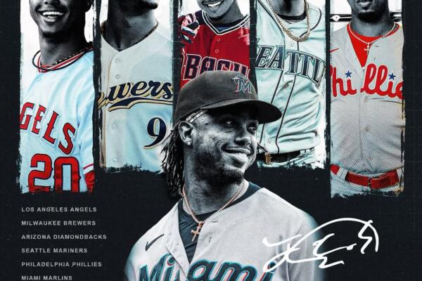Segura, nativo de San Juan de la Maguana, compilo durante su estada  1,545 sencillos,737 carreras anotadas,237 dobles,47 triples,110 jonrones,513 remolcadas, recibió 323 bases por bolas, lo poncharon en 824 ocasiones y cerró con un promedio de bateo de .281 en 1,413 juegos.