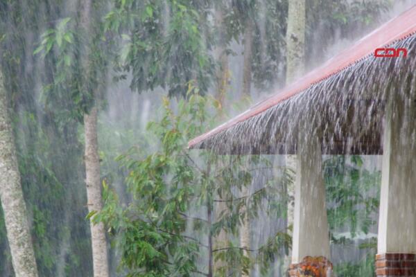 Varias provincias en alertas.
