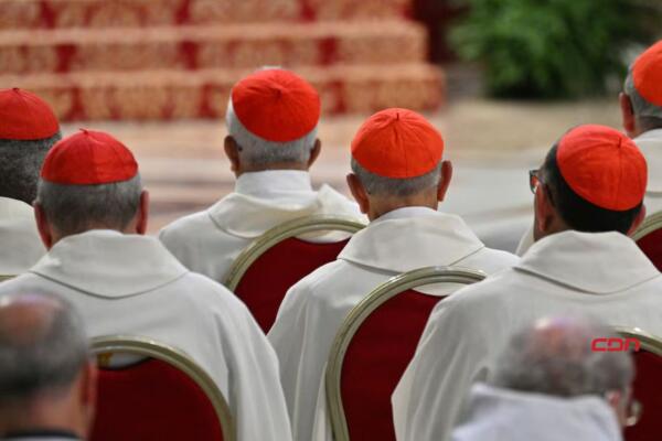 ¿Qué es un cardenal? Los 