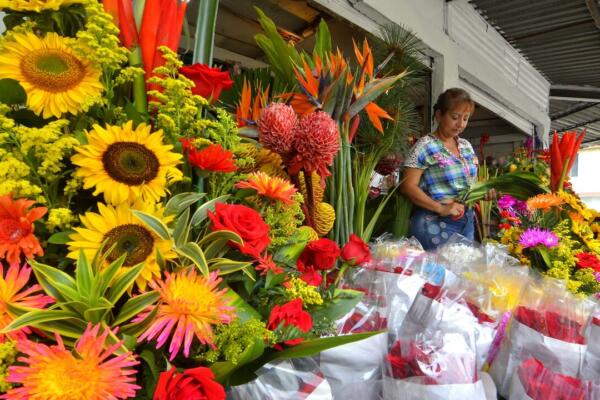 Comerciantes preocupados por baja afluencia en vísperas del Día de las Madres en Santiago