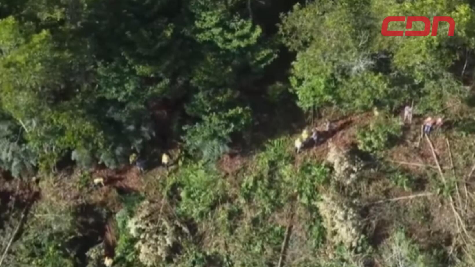 Denuncian tala masiva en cabecera del río El Naranjo atribuida a Barrick Gold