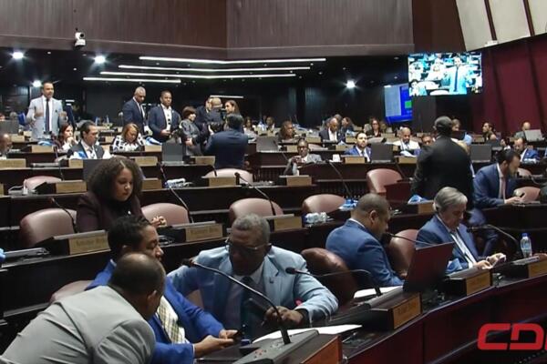 El Congreso ante la difícil tarea de aprobar el Código Penal. Foto: Fuente externa 