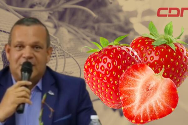 Francisco Antonio Marte, alcalde de Constanza ofrece detalles del festival. 