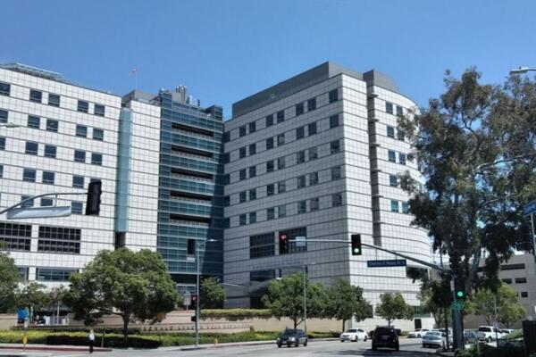 Realizan con éxito en Estados Unidos el primer trasplante de vejiga del mundo.