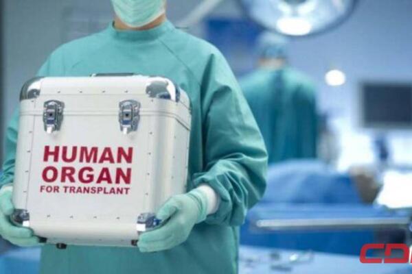 Una persona sostiene una nevera especializada para el transporte de órganos humanos. Foto: Fuente externa 