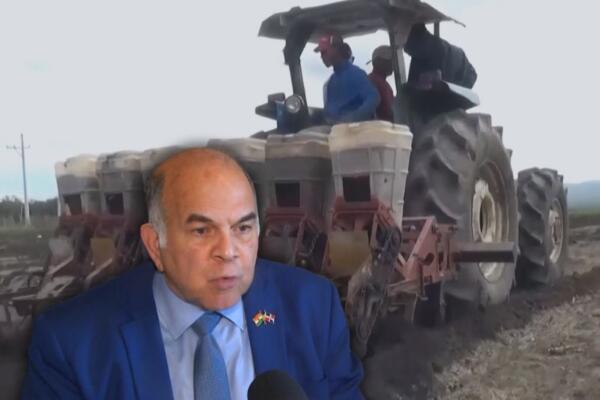 Nacionalistas expresan sus posturas sobre declaración de Julio Brache presidente de la AIRD.