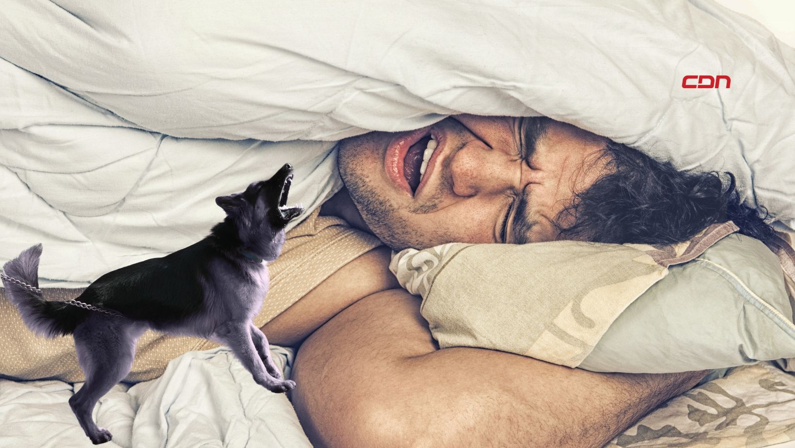 Perros