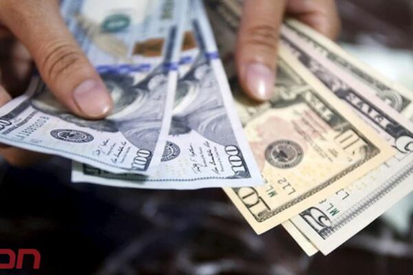 Una persona con dinero estadounidense en las manos, listo para enviar remesas. Foto: Fuente externa 