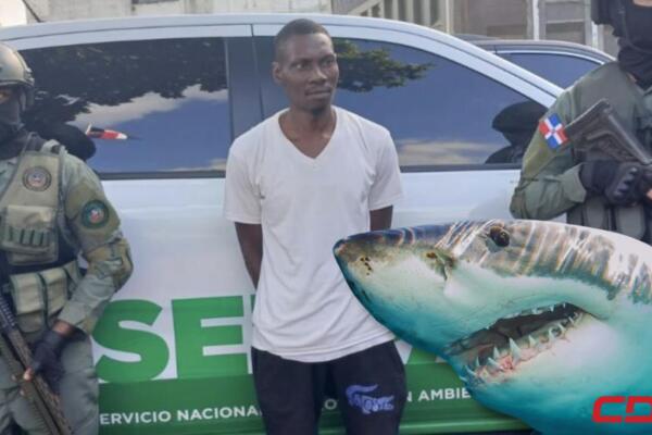 SENPA detiene haitiano que mató tiburón en playa Guayacanes