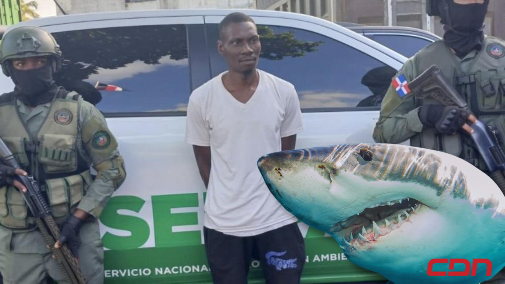 SENPA detiene haitiano que mató tiburón en playa Guayacanes
