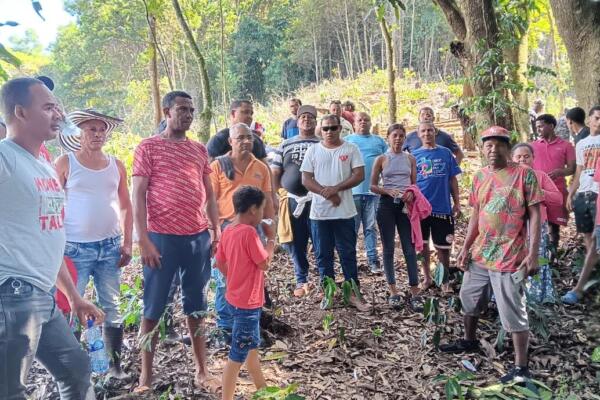 Denuncian tala masiva en cabecera del río El Naranjo atribuida a Barrick Gold.