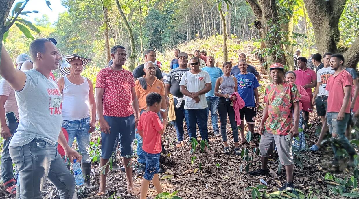 Denuncian tala masiva en cabecera del río El Naranjo atribuida a Barrick Gold
