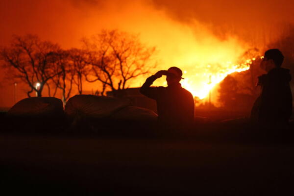 Imagen de un incendio forestal. Foto: EFE