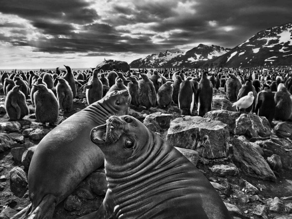 Muere Sebastião Salgado
