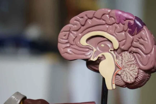 Día Internacional de los Tumores Cerebrales: concienciación, síntomas, causas y tratamientos